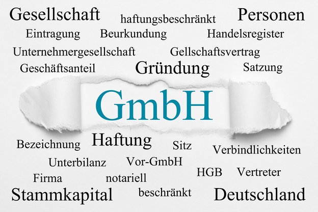 Rechtsformwahl - Kapitalgesellschaften - Personengesellschaften - Einzelunternehmer