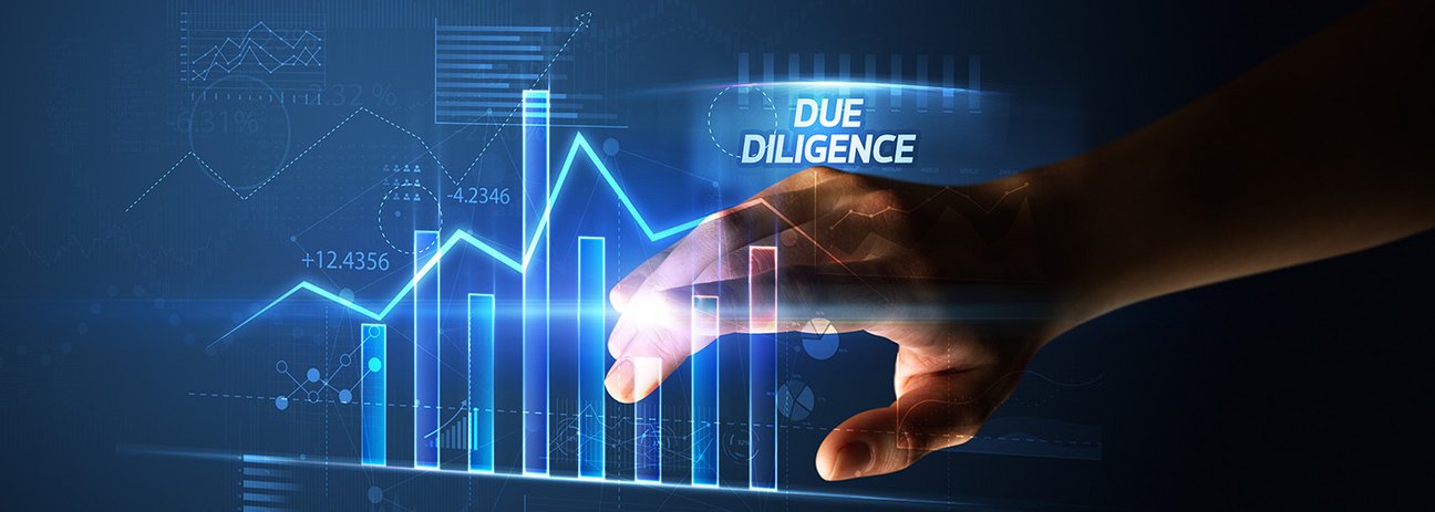 Due Diligence 
