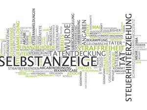  Vertretung vor den Finanzgerichten