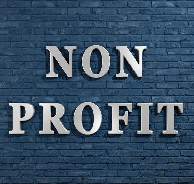 Non-Profit-Sektor - Stiftungen, Vereine und Verbände